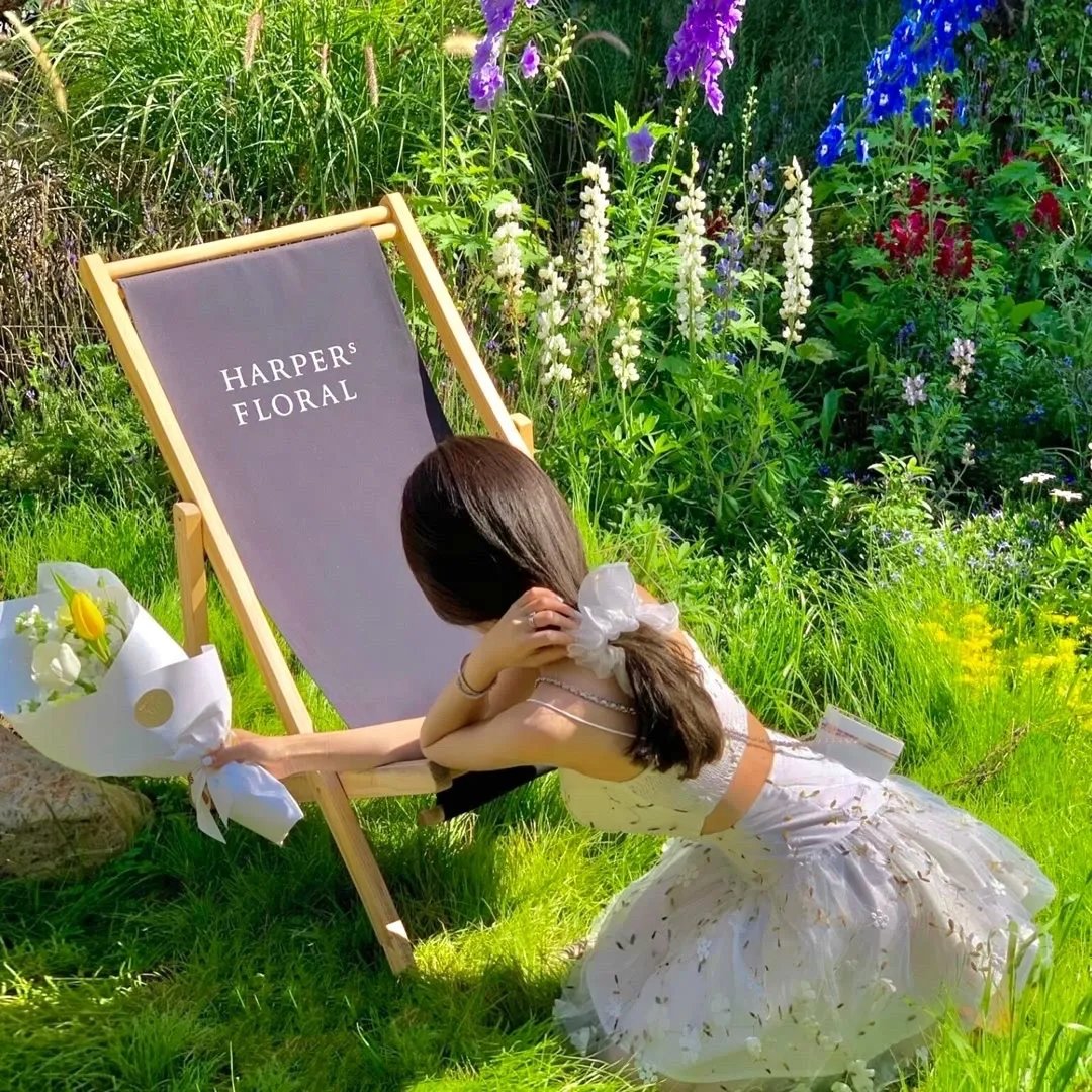 名门绅士2：淑女之心之纯白之恋篇